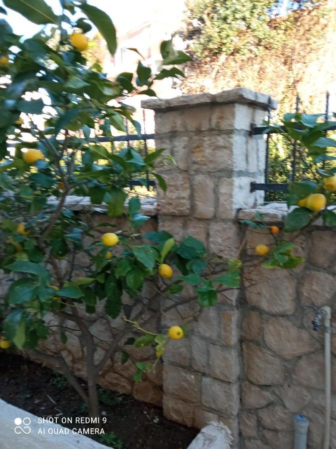 אוטייהא Apartmani Lux Sea מראה חיצוני תמונה